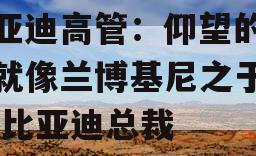 比亚迪高管：仰望的定位就像兰博基尼之于大众,比亚迪总裁