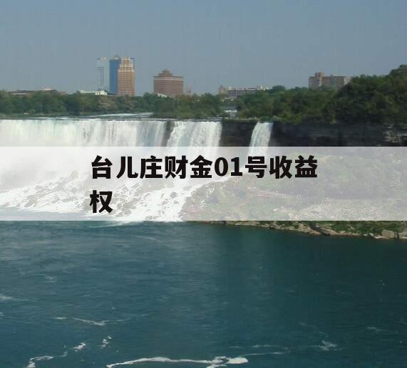 台儿庄财金01号收益权 台儿庄财金01号收益权