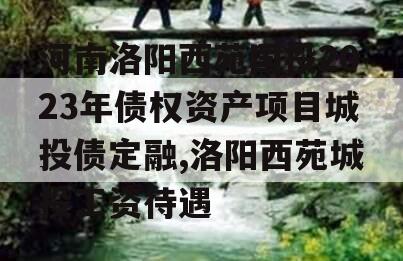 河南洛阳西苑国投2023年债权资产项目城投债定融,洛阳西苑城投工资待遇