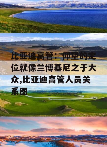 比亚迪高管：仰望的定位就像兰博基尼之于大众,比亚迪高管人员关系图