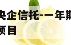 大央企信托-一年期盐城项目