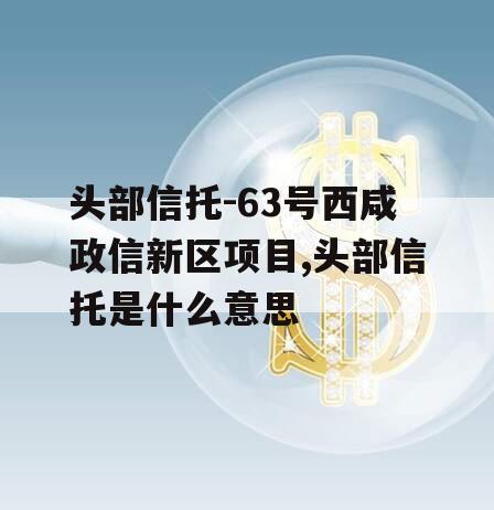 头部信托-63号西咸政信新区项目,头部信托是什么意思