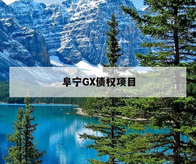 阜宁GX债权项目