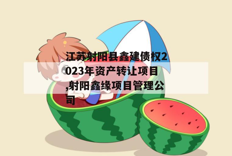 江苏射阳县鑫建债权2023年资产转让项目,射阳鑫缘项目管理公司
