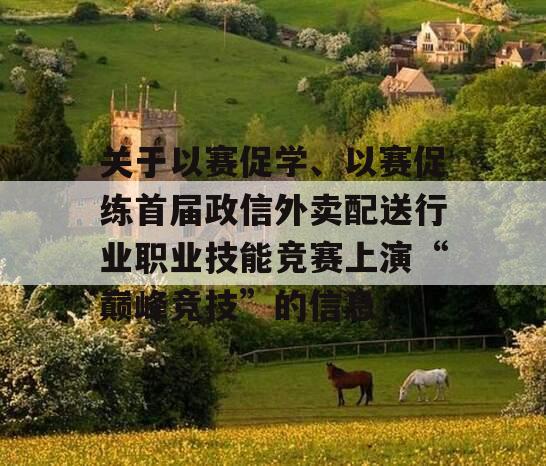 关于以赛促学、以赛促练首届政信外卖配送行业职业技能竞赛上演“巅峰竞技”的信息