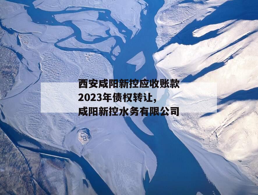 西安咸阳新控应收账款2023年债权转让,咸阳新控水务有限公司