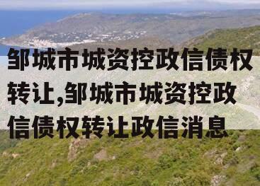 邹城市城资控政信债权转让,邹城市城资控政信债权转让政信消息