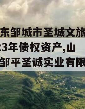 山东邹城市圣城文旅2023年债权资产,山东邹平圣诚实业有限公司