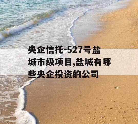 央企信托-527号盐城市级项目,盐城有哪些央企投资的公司