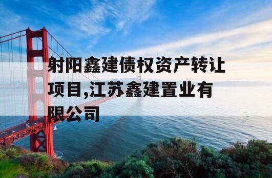 射阳鑫建债权资产转让项目,江苏鑫建置业有限公司