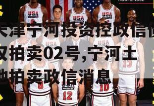 天津宁河投资控政信债权拍卖02号,宁河土地拍卖政信消息