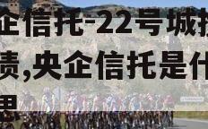 央企信托-22号城投标债,央企信托是什么意思