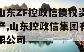 山东ZF控政信债权资产,山东控政信集团有限公司