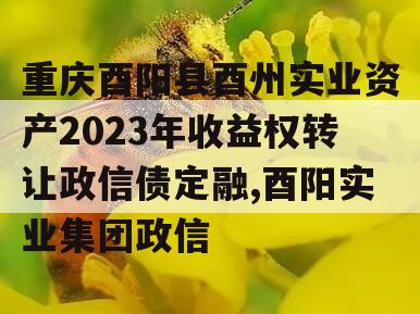 重庆酉阳县酉州实业资产2023年收益权转让政信债定融,酉阳实业集团政信