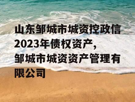 山东邹城市城资控政信2023年债权资产,邹城市城资资产管理有限公司