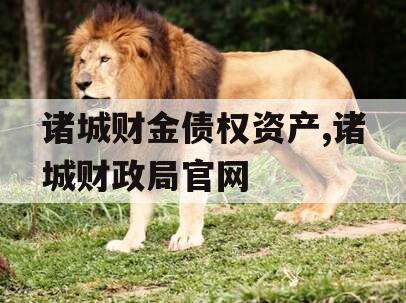 诸城财金债权资产,诸城财政局官网