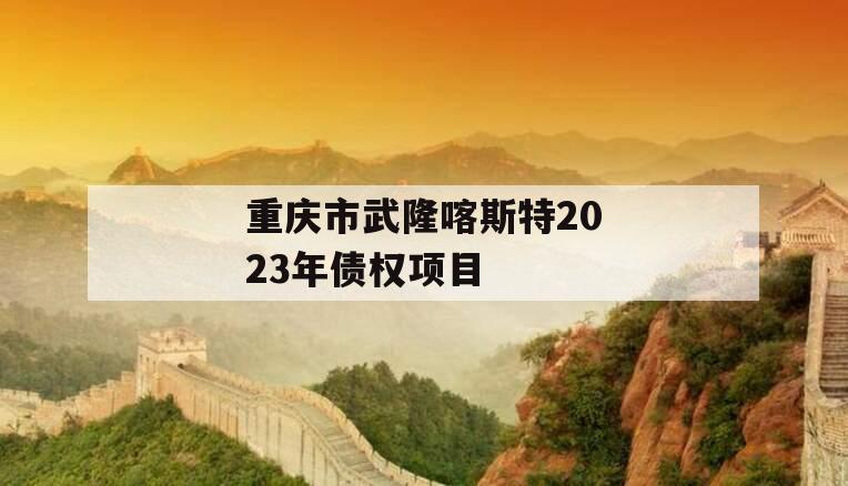 重庆市武隆喀斯特2023年债权项目