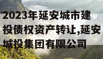 2023年延安城市建投债权资产转让,延安城投集团有限公司