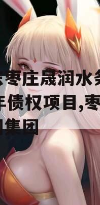 山东枣庄晟润水务2023年债权项目,枣庄晟润集团
