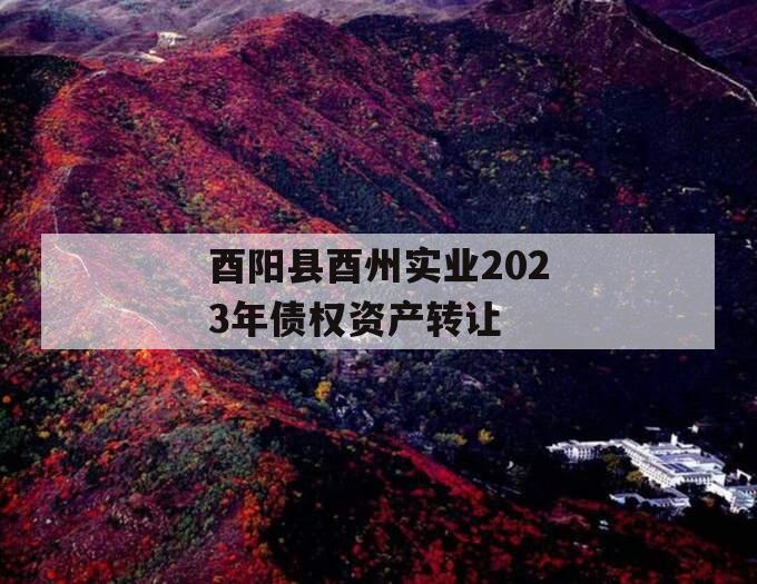 酉阳县酉州实业2023年债权资产转让