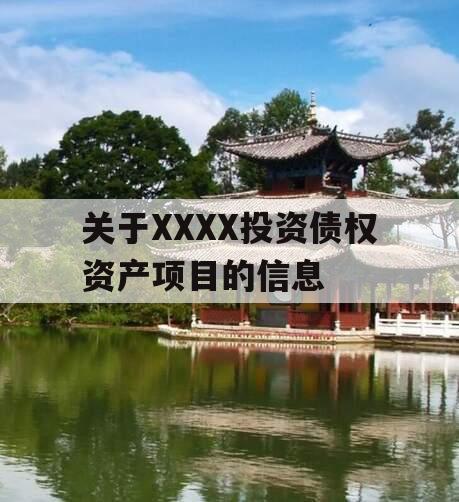 关于XXXX投资债权资产项目的信息