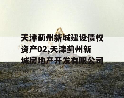 天津蓟州新城建设债权资产02,天津蓟州新城房地产开发有限公司
