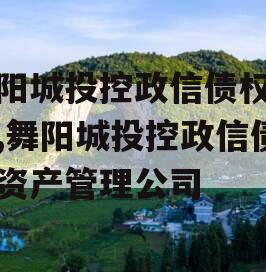 舞阳城投控政信债权资产,舞阳城投控政信债权资产管理公司