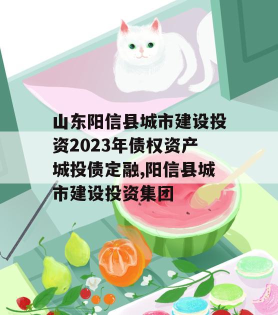 山东阳信县城市建设投资2023年债权资产城投债定融,阳信县城市建设投资集团