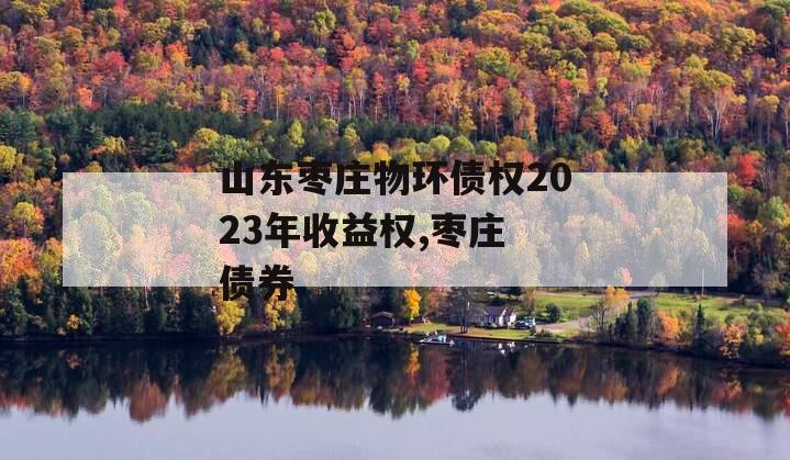 山东枣庄物环债权2023年收益权,枣庄 债券