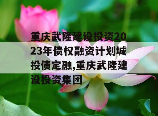 重庆武隆建设投资2023年债权融资计划城投债定融,重庆武隆建设投资集团
