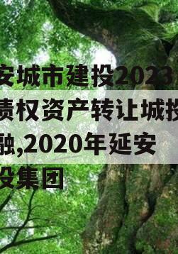 延安城市建投2023年债权资产转让城投债定融,2020年延安城投集团