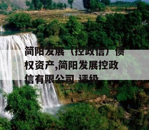简阳发展（控政信）债权资产,简阳发展控政信有限公司 评级