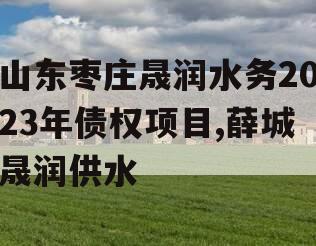 山东枣庄晟润水务2023年债权项目,薛城晟润供水