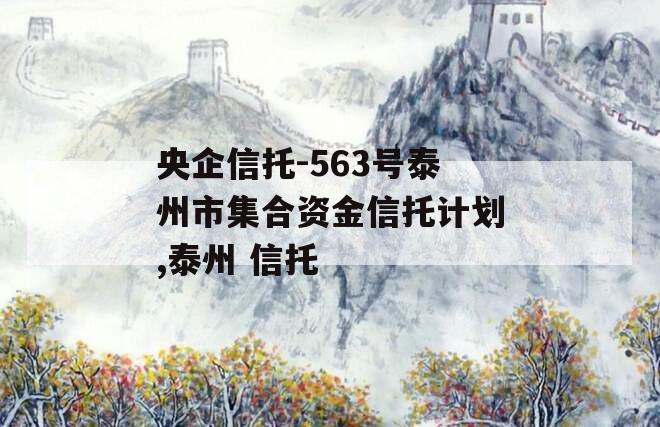 央企信托-563号泰州市集合资金信托计划,泰州 信托