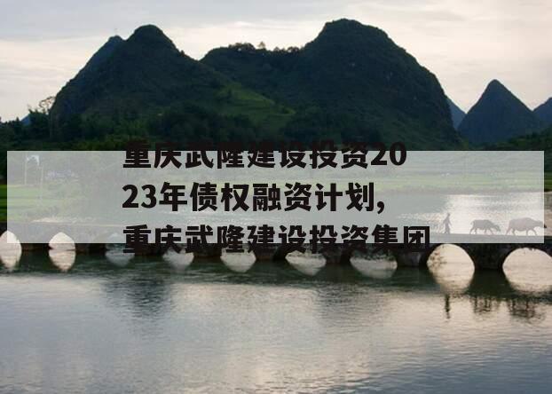 重庆武隆建设投资2023年债权融资计划,重庆武隆建设投资集团