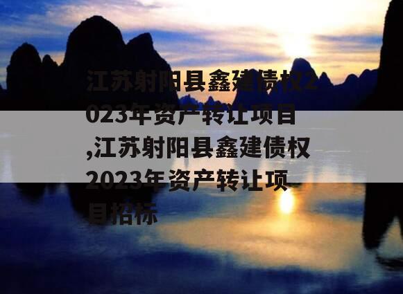 江苏射阳县鑫建债权2023年资产转让项目,江苏射阳县鑫建债权2023年资产转让项目招标