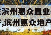 山东滨州惠众置业债权资产,滨州惠众地产