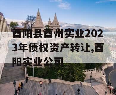 酉阳县酉州实业2023年债权资产转让,酉阳实业公司