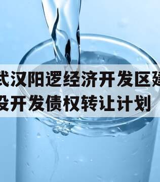 武汉阳逻经济开发区建设开发债权转让计划