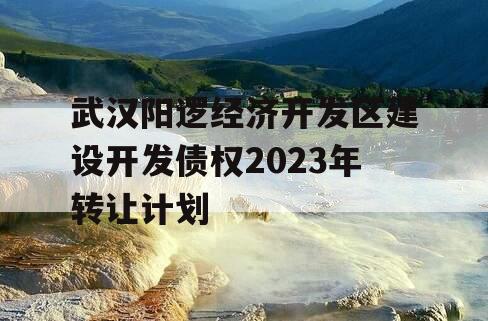 武汉阳逻经济开发区建设开发债权2023年转让计划