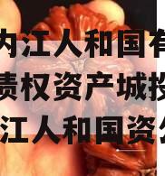 四川内江人和国有资产经营债权资产城投债定融,内江人和国资公司
