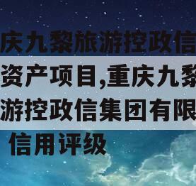 重庆九黎旅游控政信债权资产项目,重庆九黎旅游控政信集团有限公司 信用评级