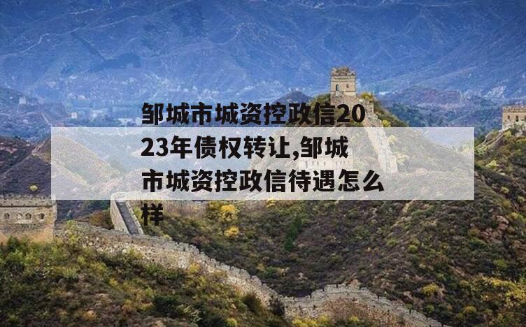 邹城市城资控政信2023年债权转让,邹城市城资控政信待遇怎么样