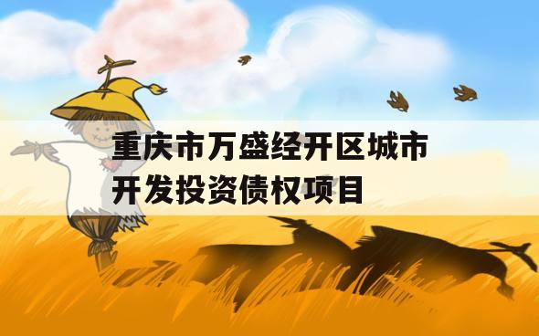 重庆市万盛经开区城市开发投资债权项目