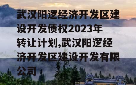 武汉阳逻经济开发区建设开发债权2023年转让计划,武汉阳逻经济开发区建设开发有限公司
