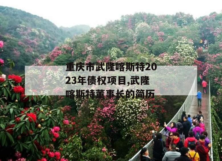 重庆市武隆喀斯特2023年债权项目,武隆喀斯特董事长的简历