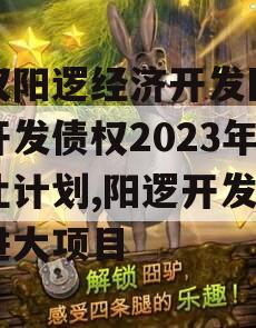 武汉阳逻经济开发区建设开发债权2023年转让计划,阳逻开发区引进大项目