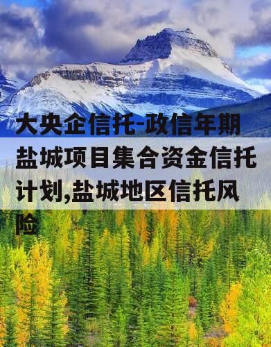 大央企信托-政信年期盐城项目集合资金信托计划,盐城地区信托风险