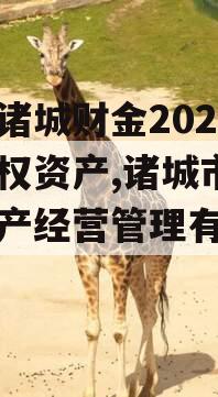 山东诸城财金2023年债权资产,诸城市财金资产经营管理有限公司