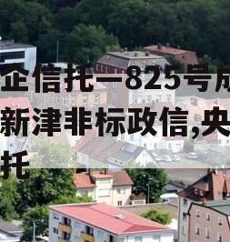 央企信托—825号成都新津非标政信,央企信托